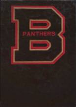2010 Buckeye Local High School Yearbook from Tiltonsville, Ohio cover image