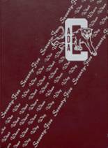 Ada High School 1975 yearbook cover photo