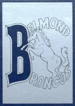 Belmond Community High School 1981 yearbook cover photo