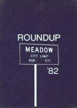 Meadow High School 1982 yearbook cover photo