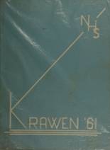 1961 Newark High School Yearbook from Newark, Delaware cover image