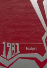 Beebe High School 1981 yearbook cover photo