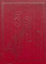 1988 Carthage High School Yearbook from Carthage, New York cover image