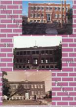 New Bloomfield High School 1988 yearbook cover photo