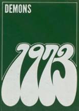 Ridgway High School 1973 yearbook cover photo