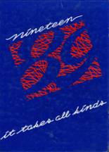 1989 Northland Pines High School Yearbook from Eagle river, Wisconsin cover image