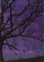 Avon High School 1981 yearbook cover photo