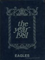 1981 Fordland High School Yearbook from Fordland, Missouri cover image
