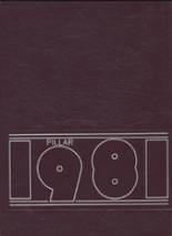 1981 Matawan Regional High School Yearbook from Aberdeen, New Jersey cover image