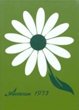 Avoca High School 1973 yearbook cover photo