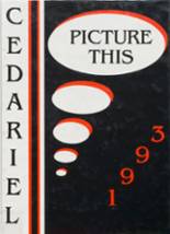 Cedarburg High School 1993 yearbook cover photo