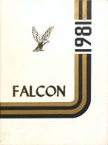 1981 Brownsville High School Yearbook from Brownsville, Pennsylvania cover image