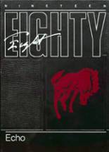 1988 Brady High School Yearbook from West st. paul, Minnesota cover image