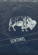 Fort LeBoeuf School 1960 yearbook cover photo