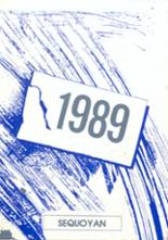 1989 Woody Gap School Yearbook from Blairsville, Georgia cover image