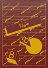 1988 Fennimore High School Yearbook from Fennimore, Wisconsin cover image