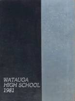 Watauga High School 1981 yearbook cover photo