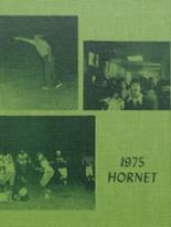 1975 Mineral Springs High School Yearbook from Mineral springs, Arkansas cover image