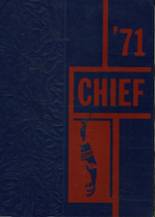 1971 Wauseon High School Yearbook from Wauseon, Ohio cover image