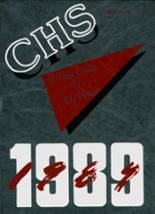 Central High School 1989 yearbook cover photo