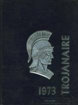 Greater Nanticoke Area High School 1973 yearbook cover photo