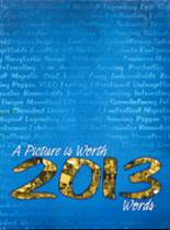 Somonauk High School 2013 yearbook cover photo