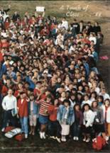 Naperville Central High School 1988 yearbook cover photo