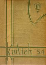 1954 Danville High School Yearbook from Danville, Iowa cover image