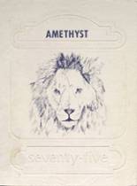 1975 Dryden High School Yearbook from Dryden, New York cover image