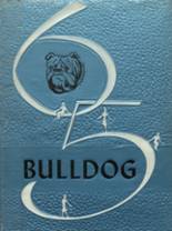 Mullin High School 1965 yearbook cover photo