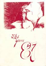 1987 St. Johns High School Yearbook from St. johns, Arizona cover image