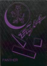 Royal Valley High School 1988 yearbook cover photo