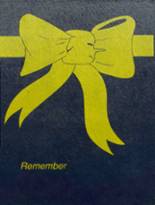 1991 Blair High School Yearbook from Blair, Nebraska cover image