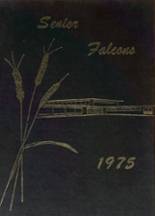 Niagara-Wheatfield High School 1975 yearbook cover photo