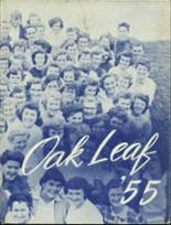 Oak Park Academy 1955 yearbook cover photo