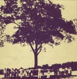 1974 St. Paul Catholic High School Yearbook from Bristol, Connecticut cover image