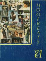 John Muir High School 1981 yearbook cover photo