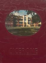 Ennis High School 1981 yearbook cover photo