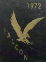 1972 Brownsville High School Yearbook from Brownsville, Pennsylvania cover image