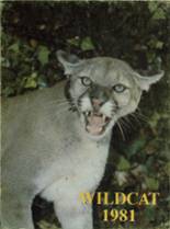 Ukiah High School 1981 yearbook cover photo
