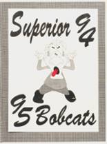 1995 Superior High School Yearbook from Superior, Montana cover image