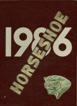 Altoona High School 1986 yearbook cover photo