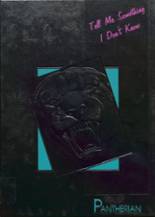 1992 Saegertown High School Yearbook from Saegertown, Pennsylvania cover image