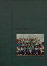 Evergreen Park High School 1985 yearbook cover photo