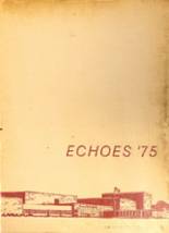 Daviess County High School 1975 yearbook cover photo