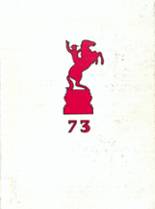 Orrville High School 1973 yearbook cover photo