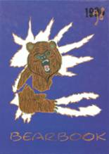 Bonduel High School 1998 yearbook cover photo