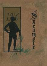1916 Modesto High School Yearbook from Modesto, California cover image