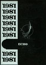 1981 Roanoke-Benson High School Yearbook from Roanoke, Illinois cover image