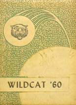 Calhoun City High School 1960 yearbook cover photo